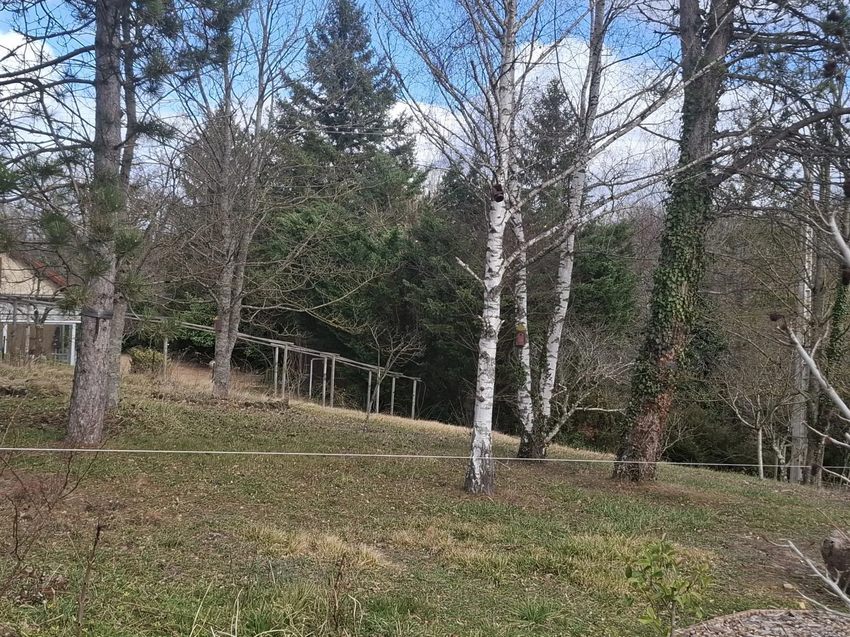 Maison neuve 49 m² à Neuville (63160)
