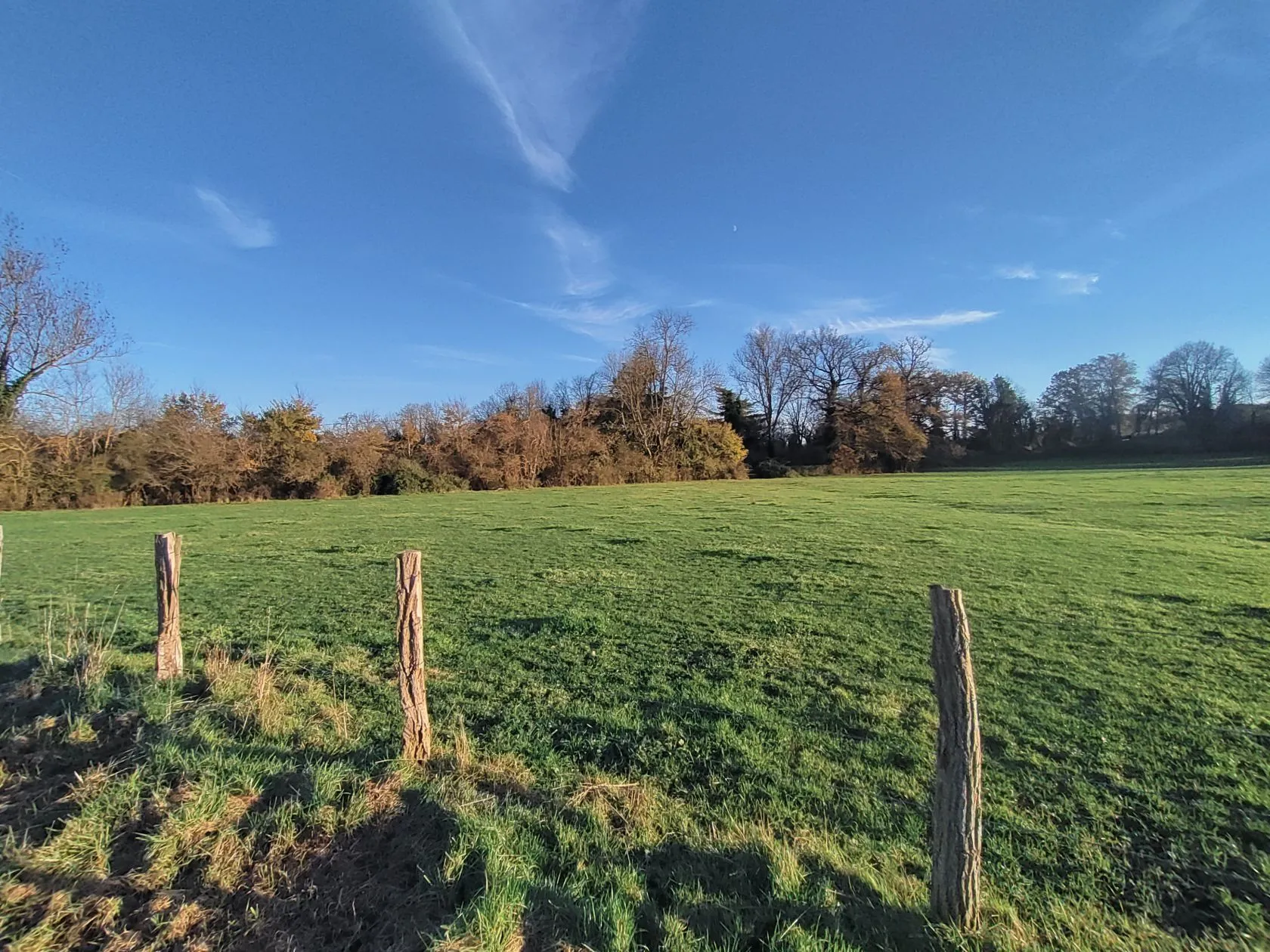 Terrain à bâtir 726 m² à Bellerive-sur-Allier (03700)