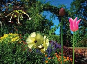 Aménager son jardin : idées d'installations