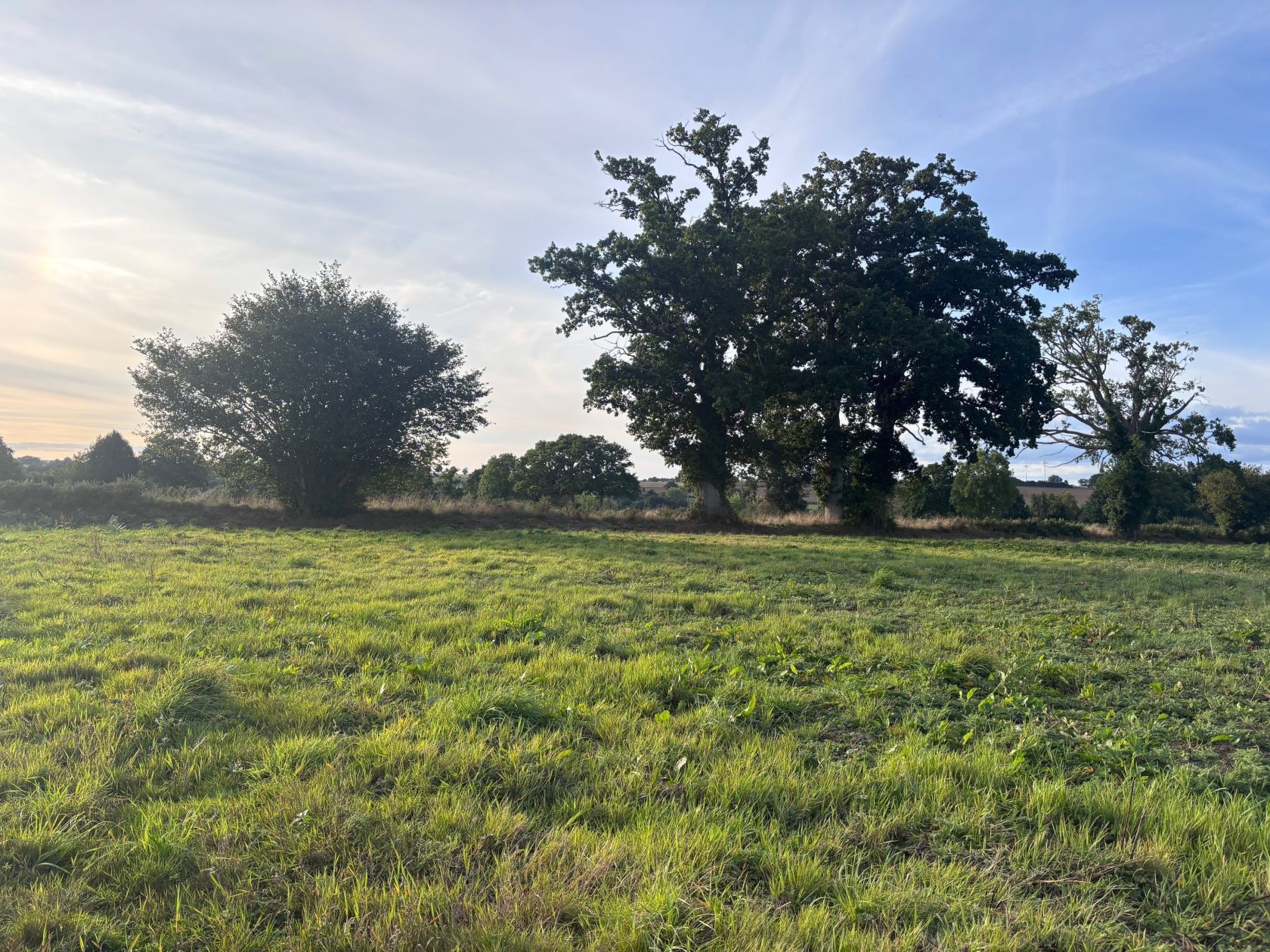 Terrain à bâtir 670 m² à Frênes (61800)