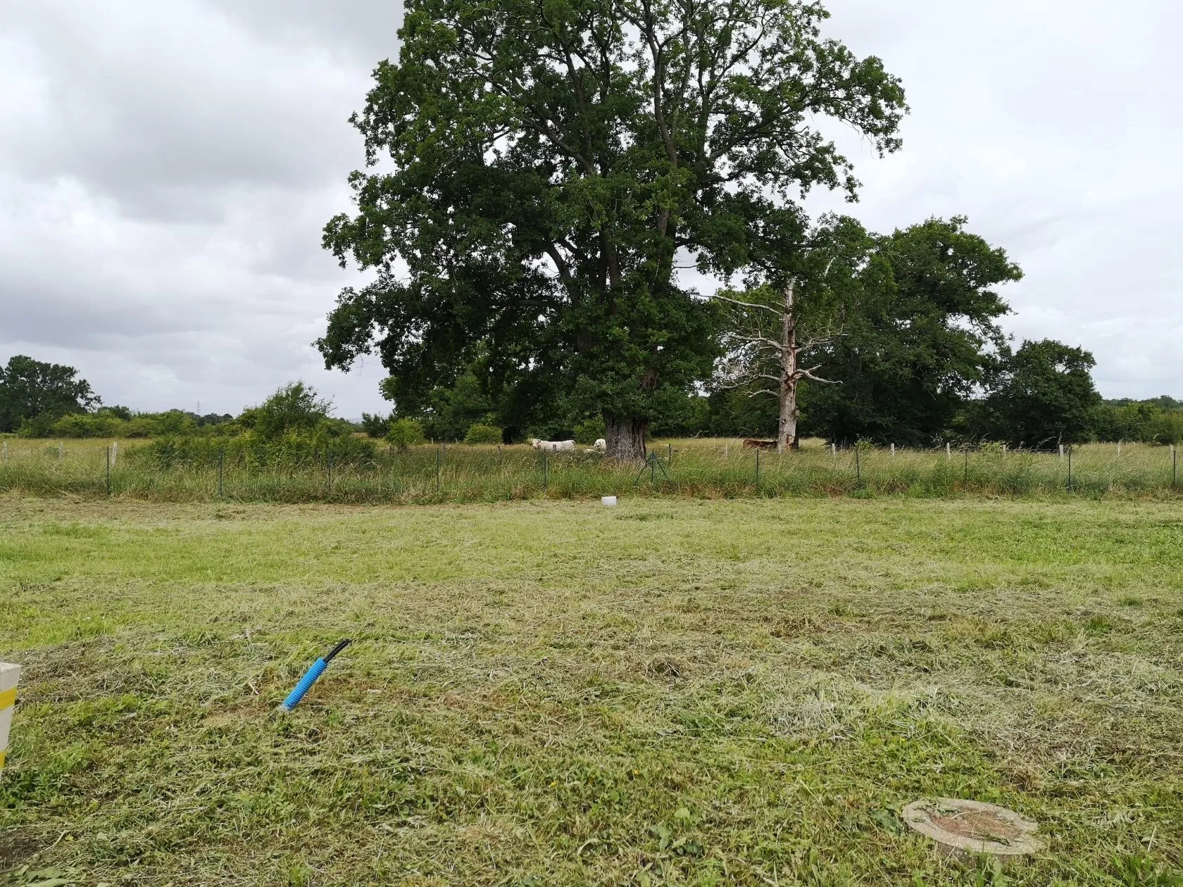 Terrain à bâtir 480 m² à Saint-Ouen-de-Mimbré (72130)