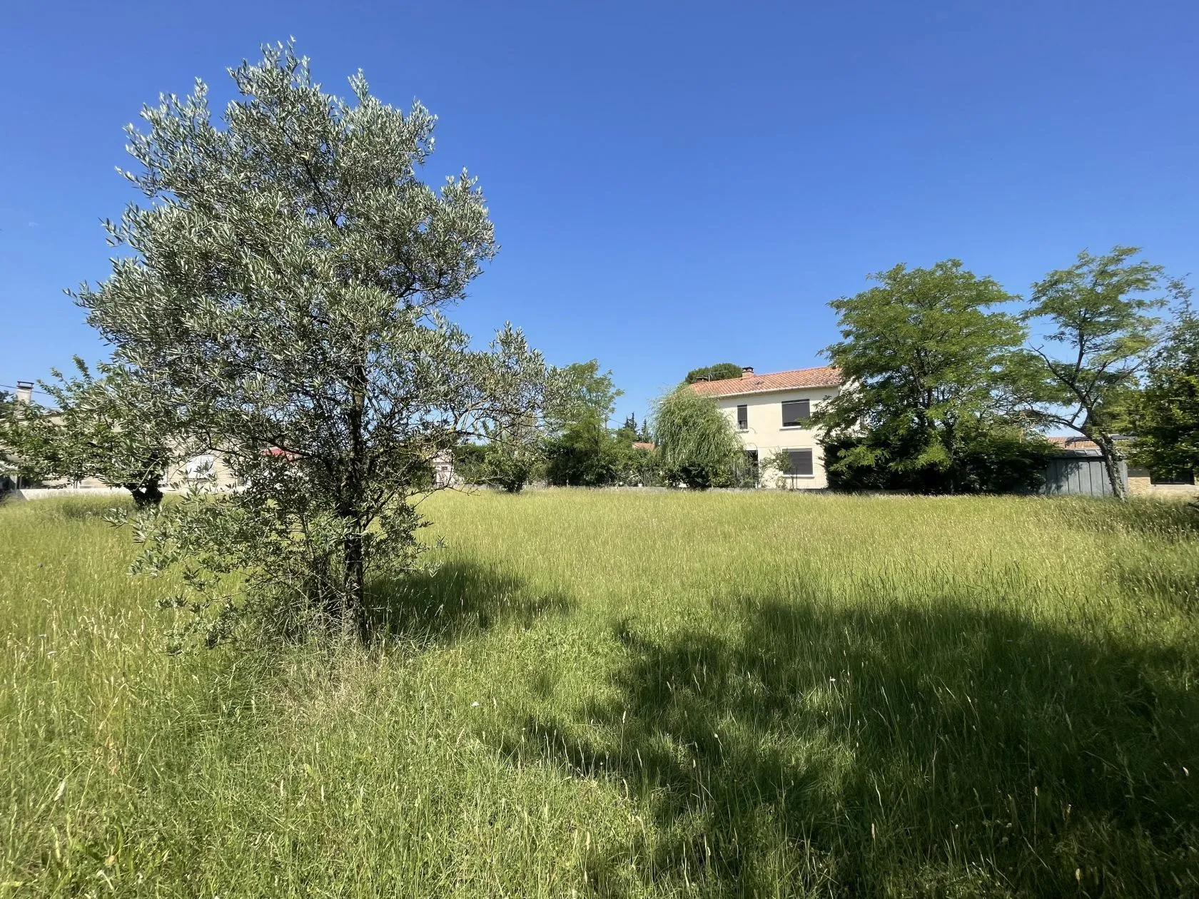 Maison neuve 70 m² à Entraigues-sur-la-Sorgue (84320)