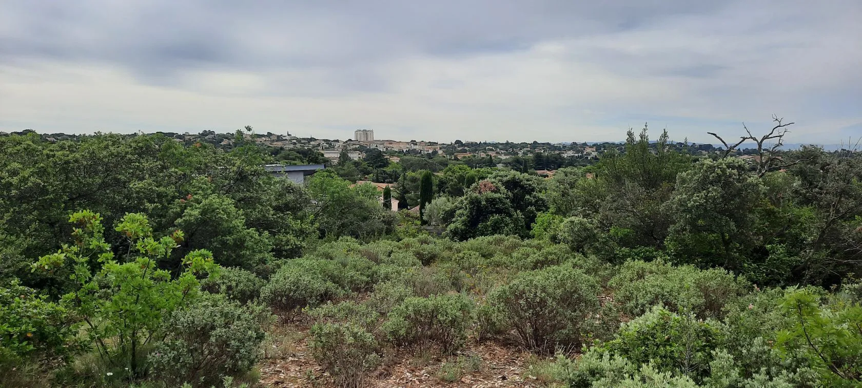 Terrain à bâtir 560 m² à Villeneuve-lès-Avignon (30400)