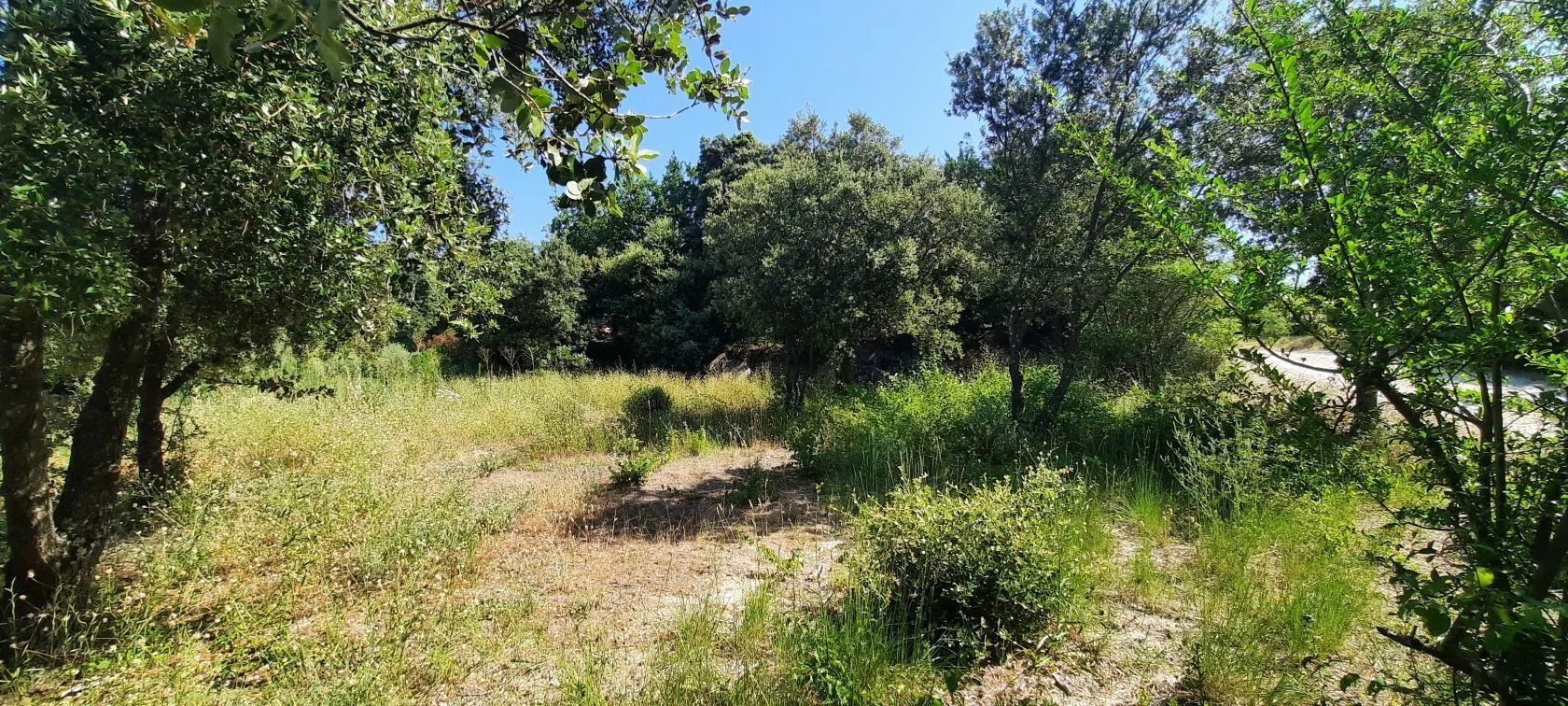 Terrain à bâtir 1435 m² à Bédoin (84410)