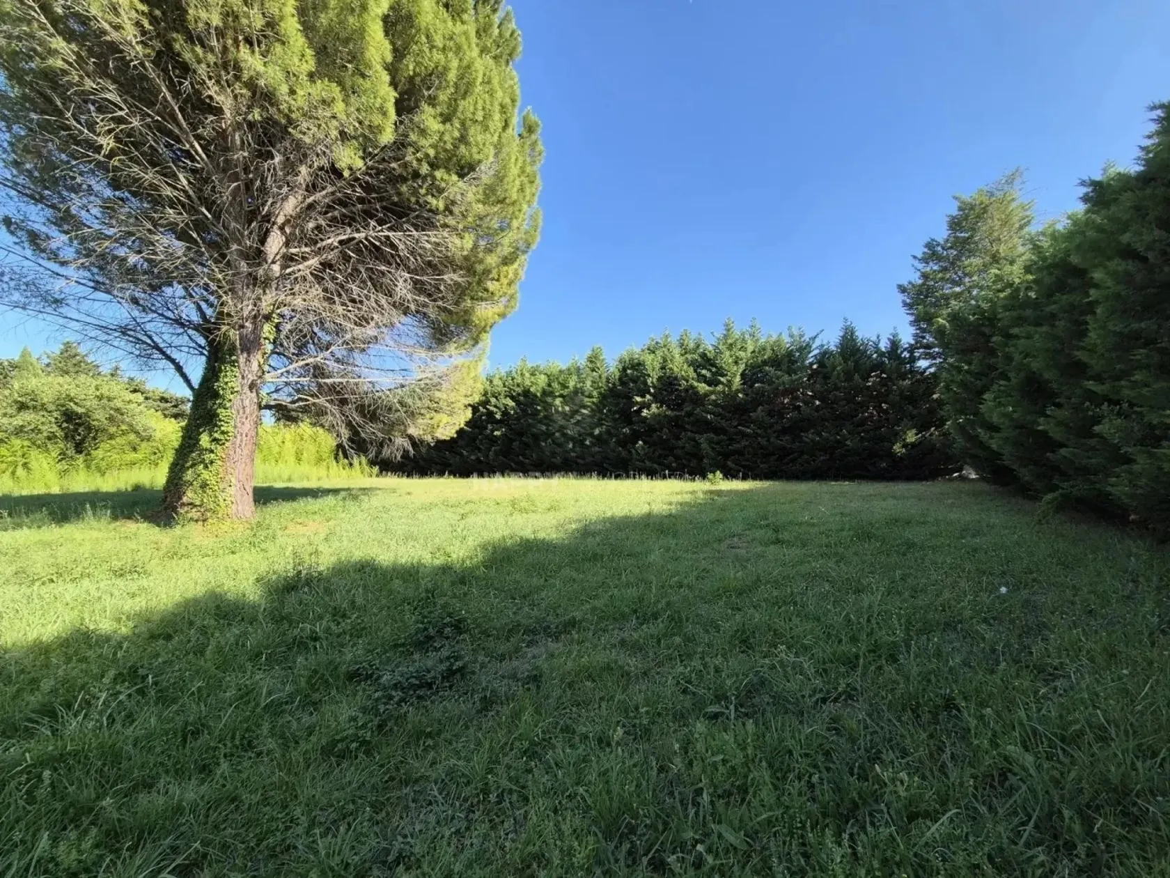 Terrain à bâtir à Saint-Rémy-de-Provence