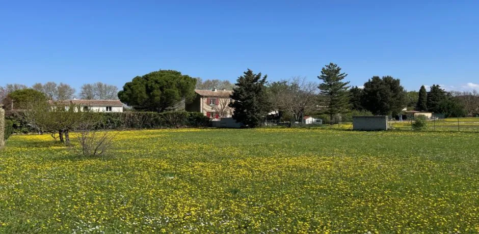 Terrain à bâtir à Pernes-les-Fontaines