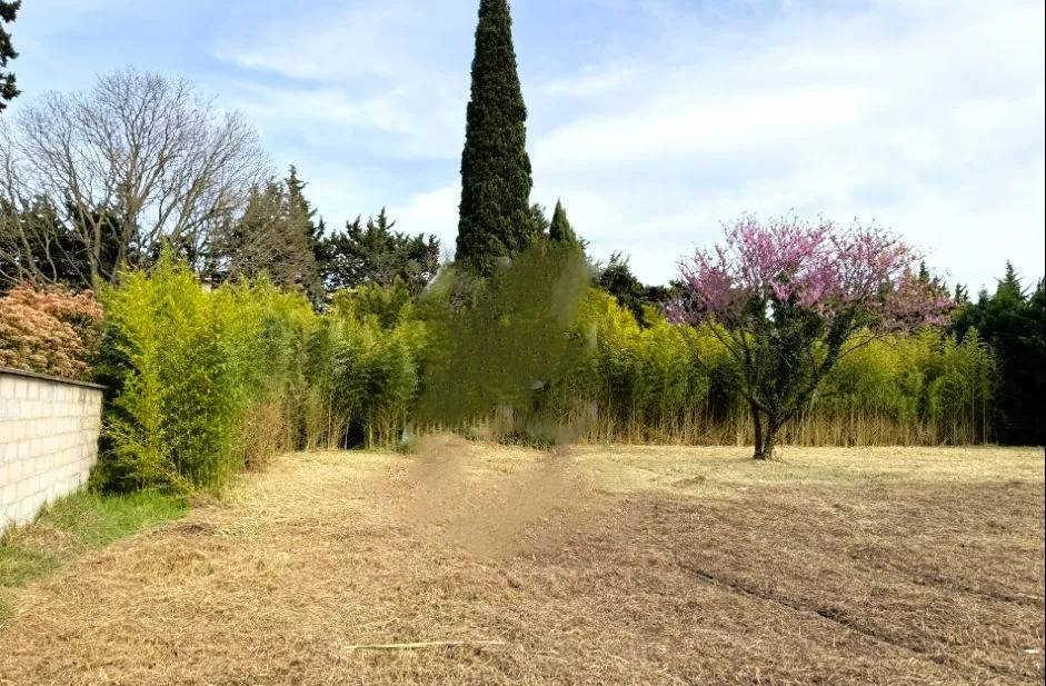 Terrain à bâtir 1200 m² à Saint-Rémy-de-Provence (13210)