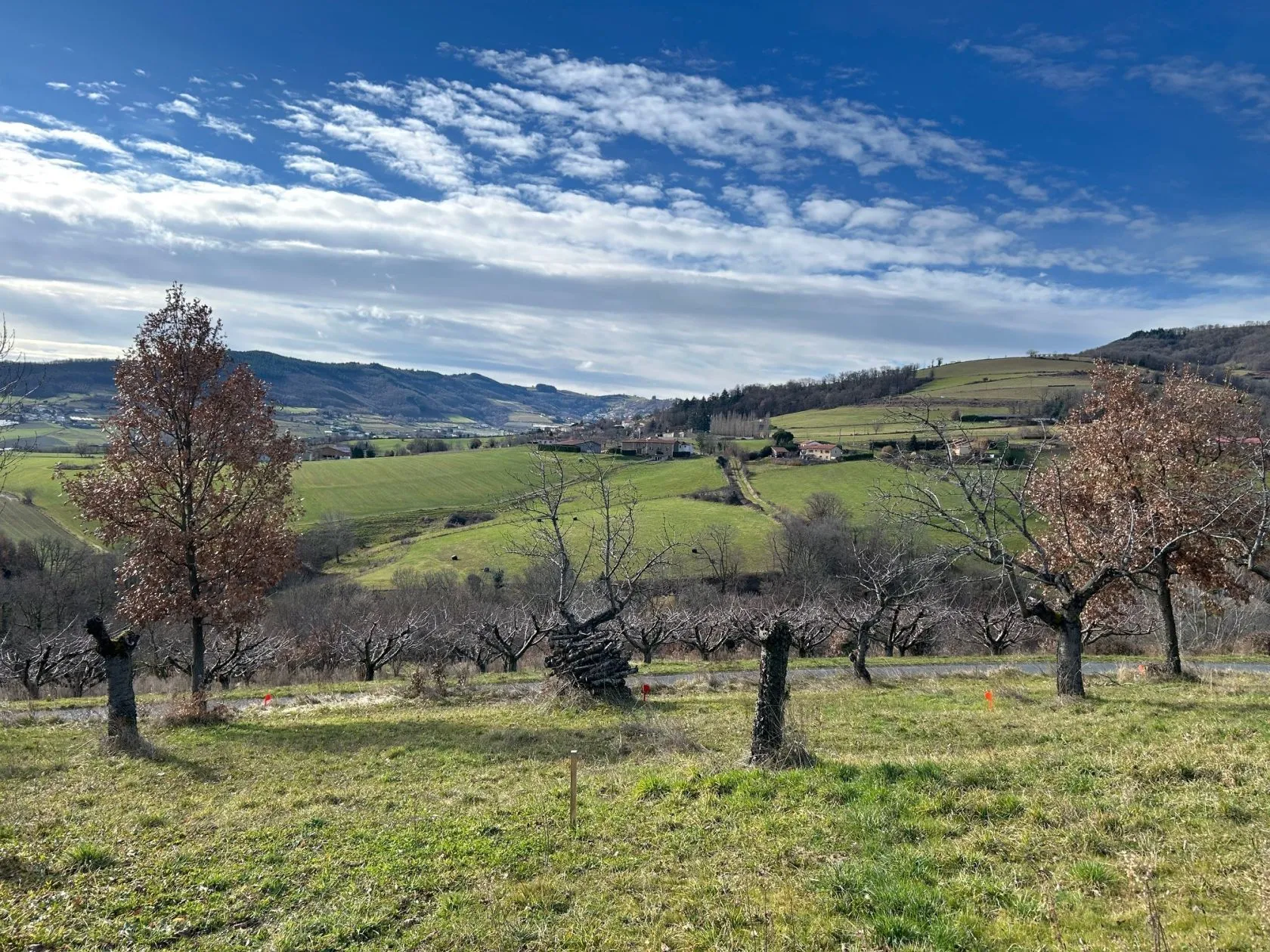 Terrain à bâtir 850 m² à Saint-Romain-en-Jarez (42800)