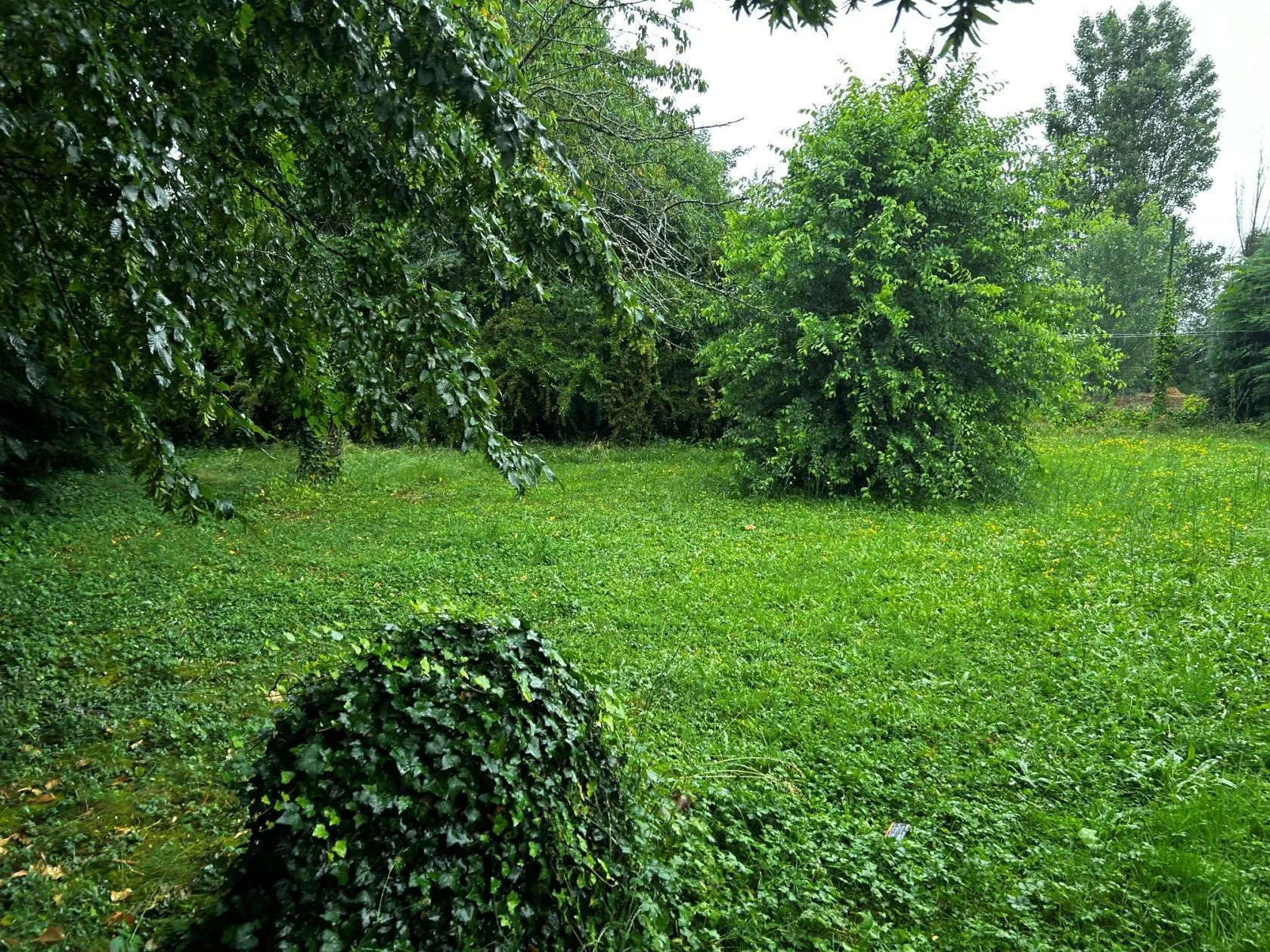 Maison neuve 90 m² à Saint-Paul-en-Jarez (42740)