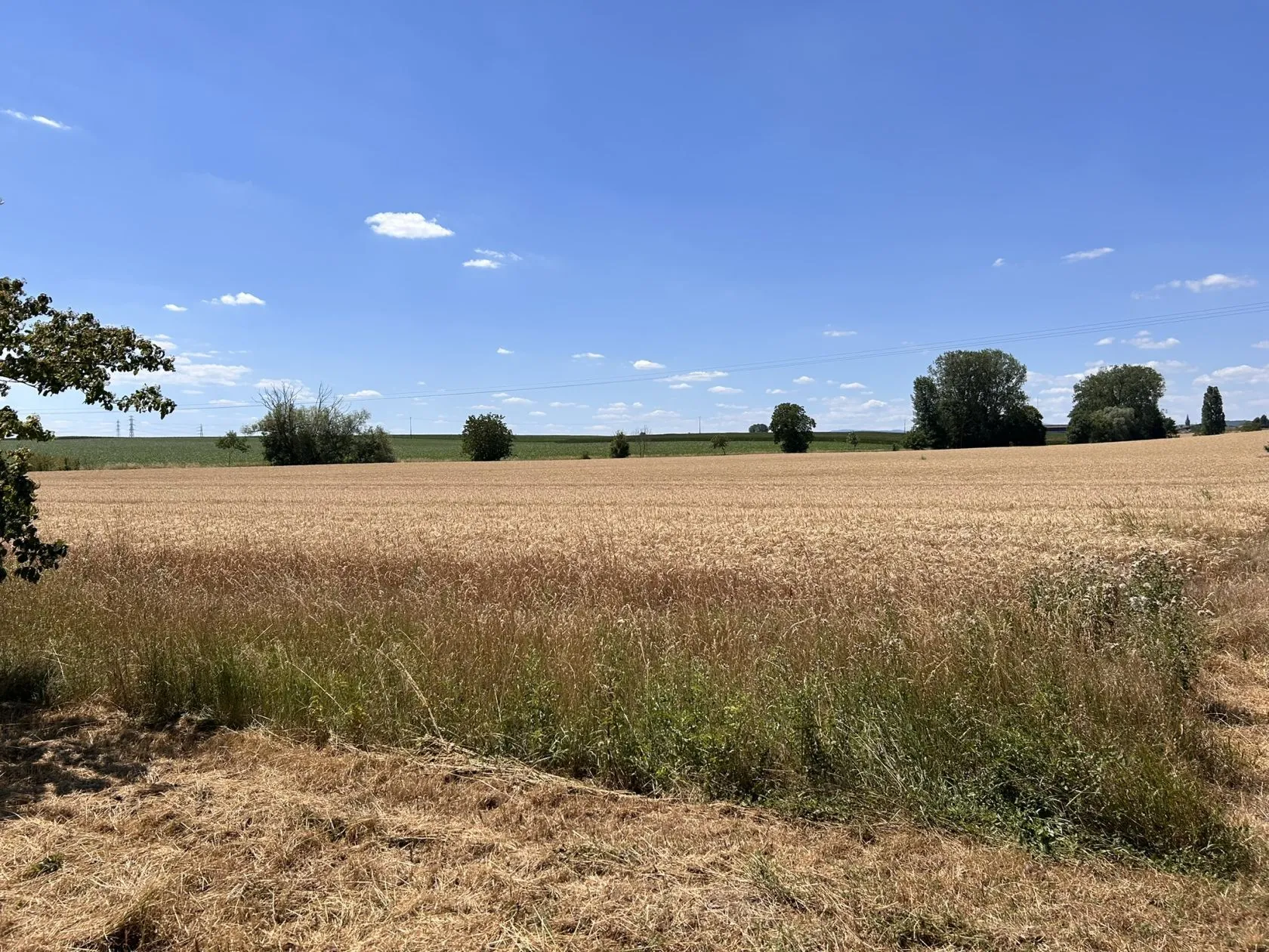 TOIT PLAT 138m2 4 CH — modèle de maison