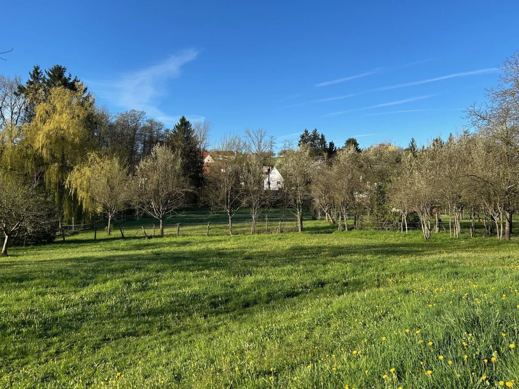 Maison neuve 76 m² à Zinswiller (67110)
