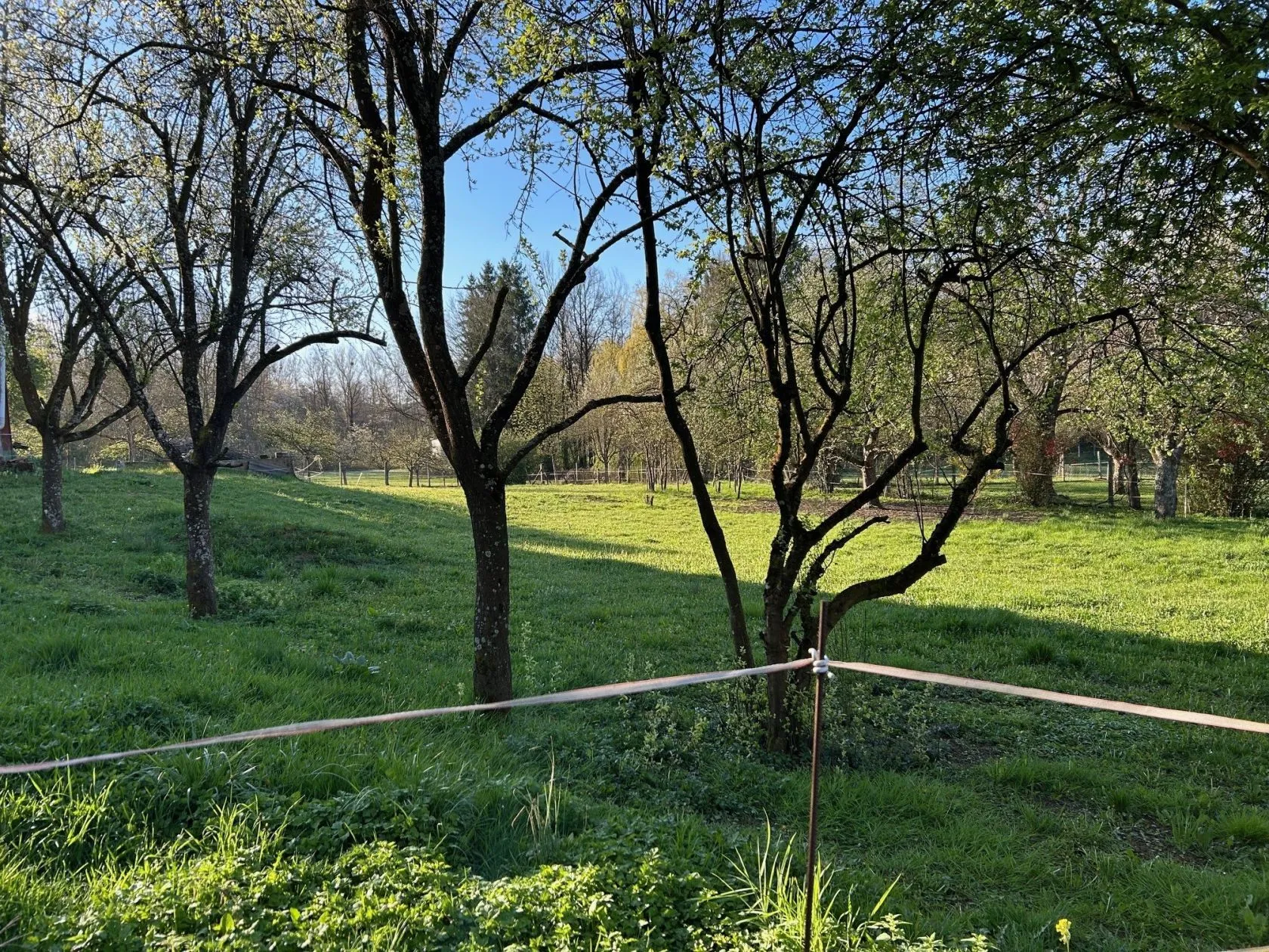 Maison neuve 76 m² à Zinswiller (67110)