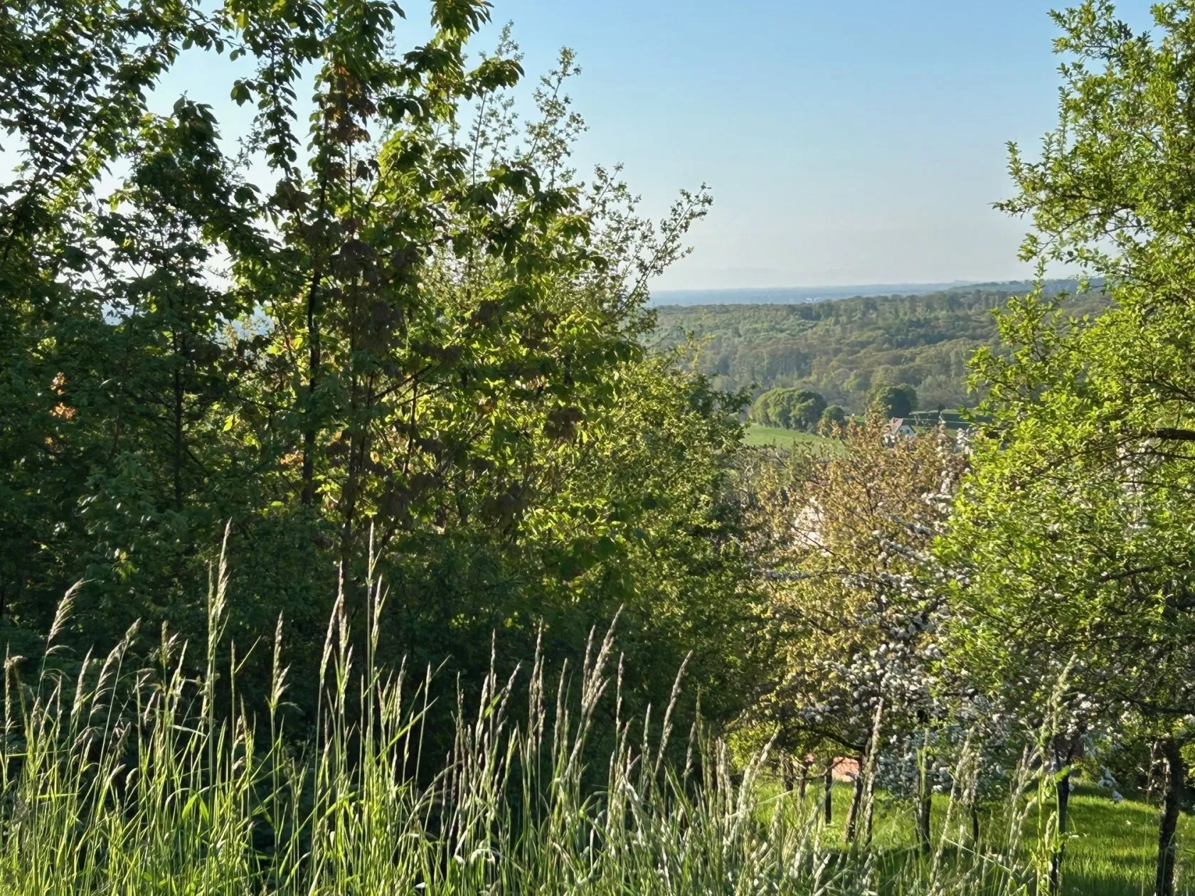 Maison neuve 78 m² à Oberbronn (67110)
