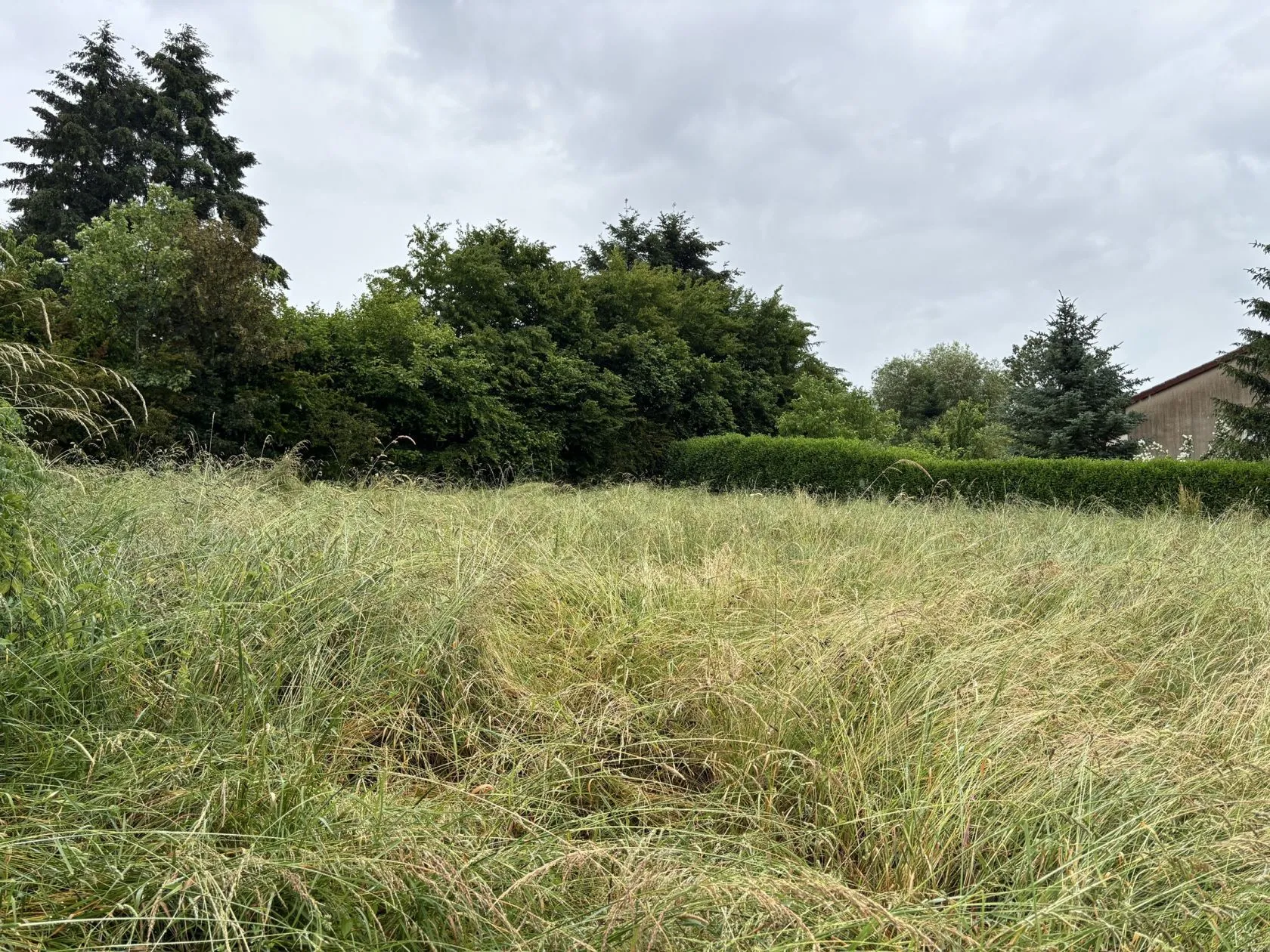 Maison neuve 90 m² à Matour (71520)