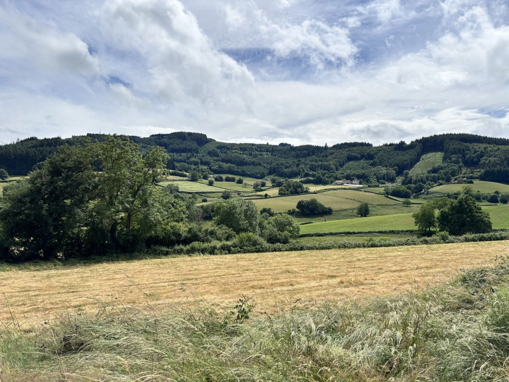 Maison neuve 90 m² à Matour (71520)