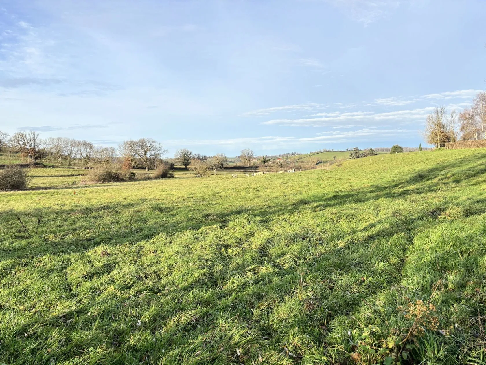 Maison neuve 90 m² à Saint-Romain-sous-Gourdon (71230)