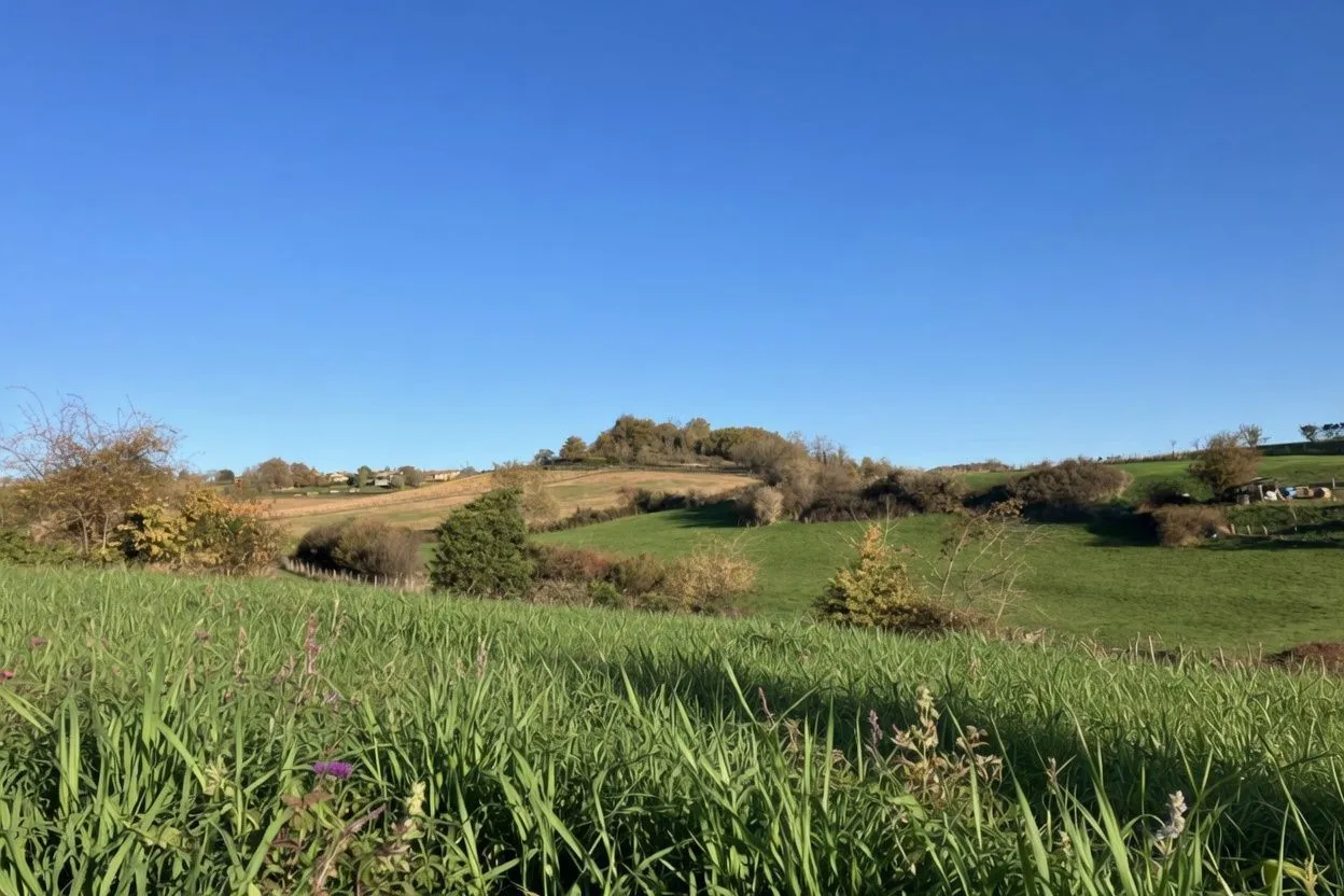 Maison neuve 100 m² à Lozanne (69380)