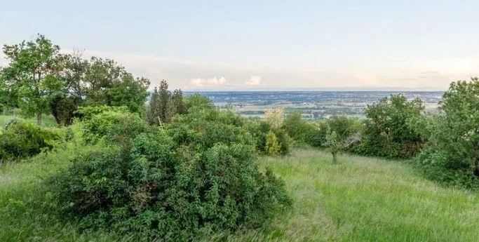 Terrain à bâtir 1400 m² à Feillens (01570)
