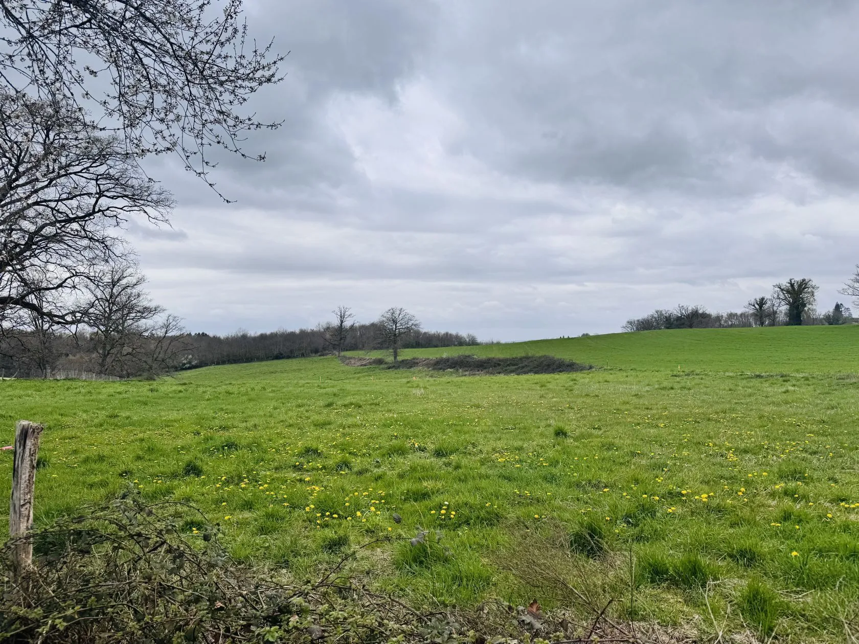 Terrain à bâtir 1500 m² à Saint-Just-le-Martel (87590)