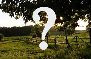 trouver le terrain idéal