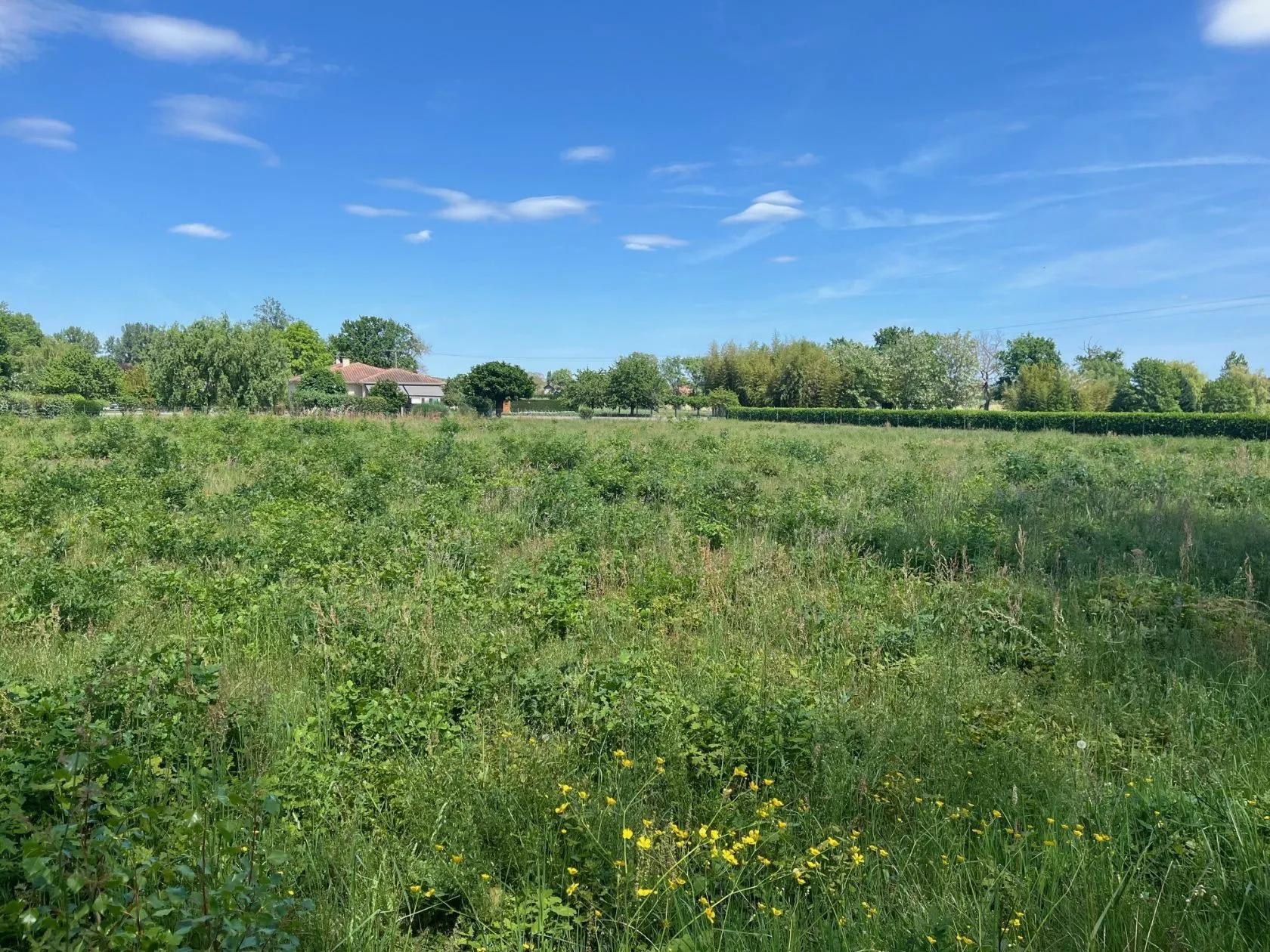 Maison neuve 84 m² à Saint-Pierre-d'Eyraud (24130)