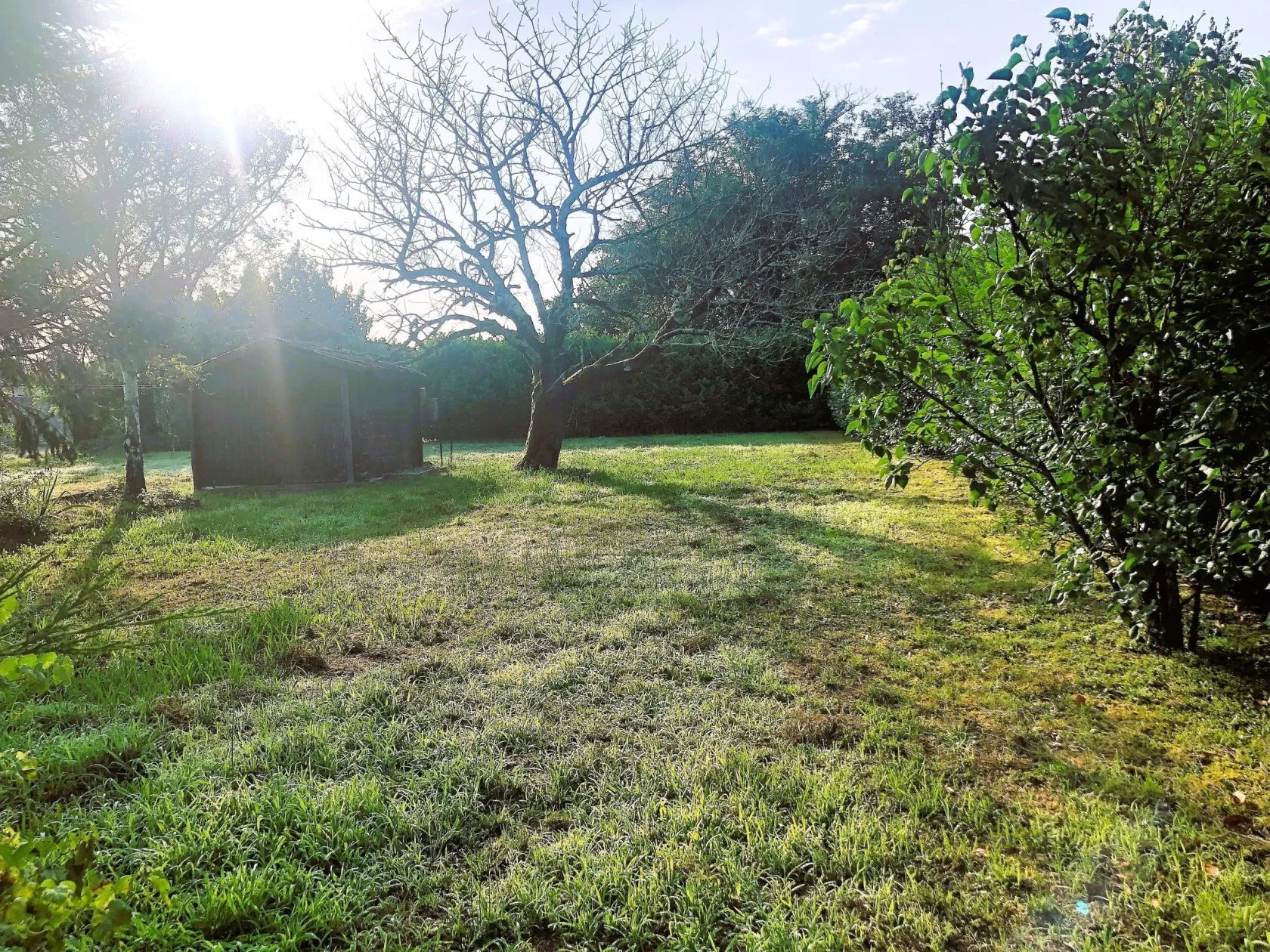 Maison neuve 100 m² à Ambarès-et-Lagrave (33440)