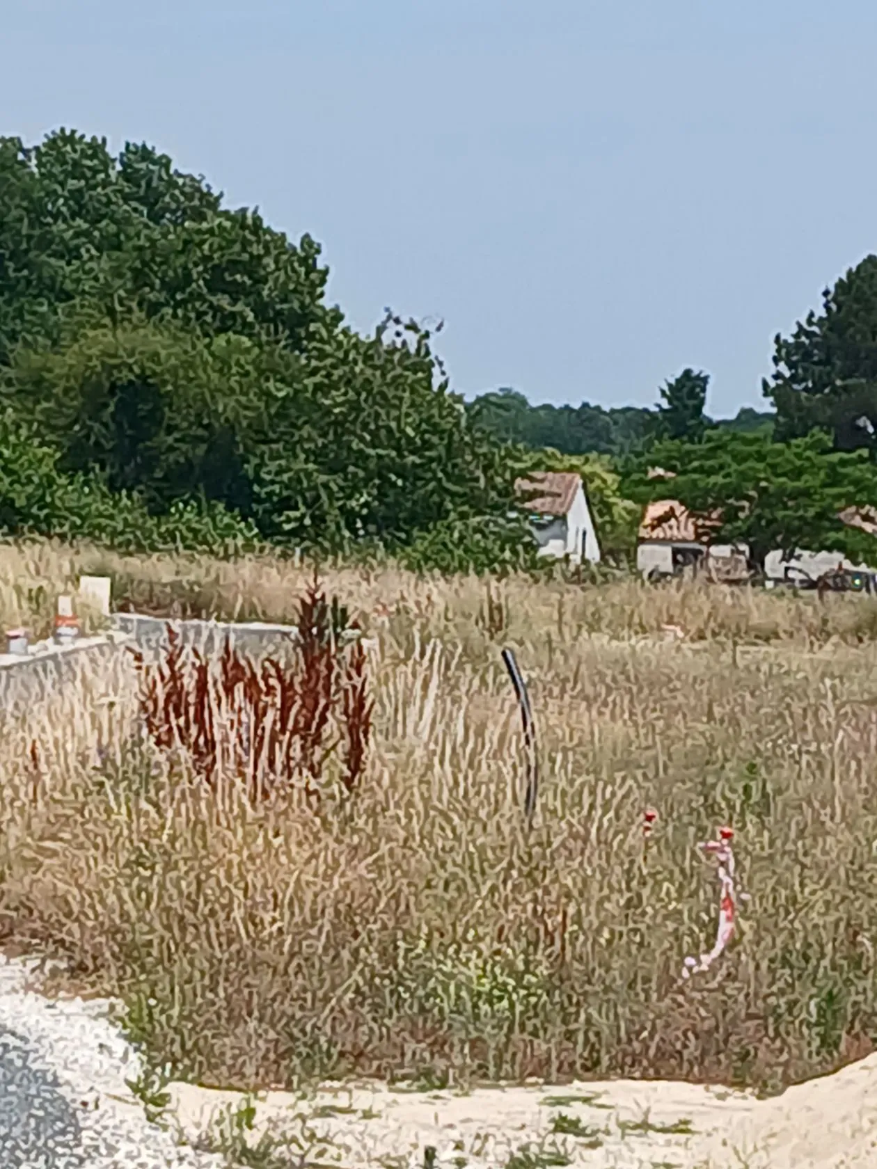 Maison neuve 60 m² à Saintes (17100)