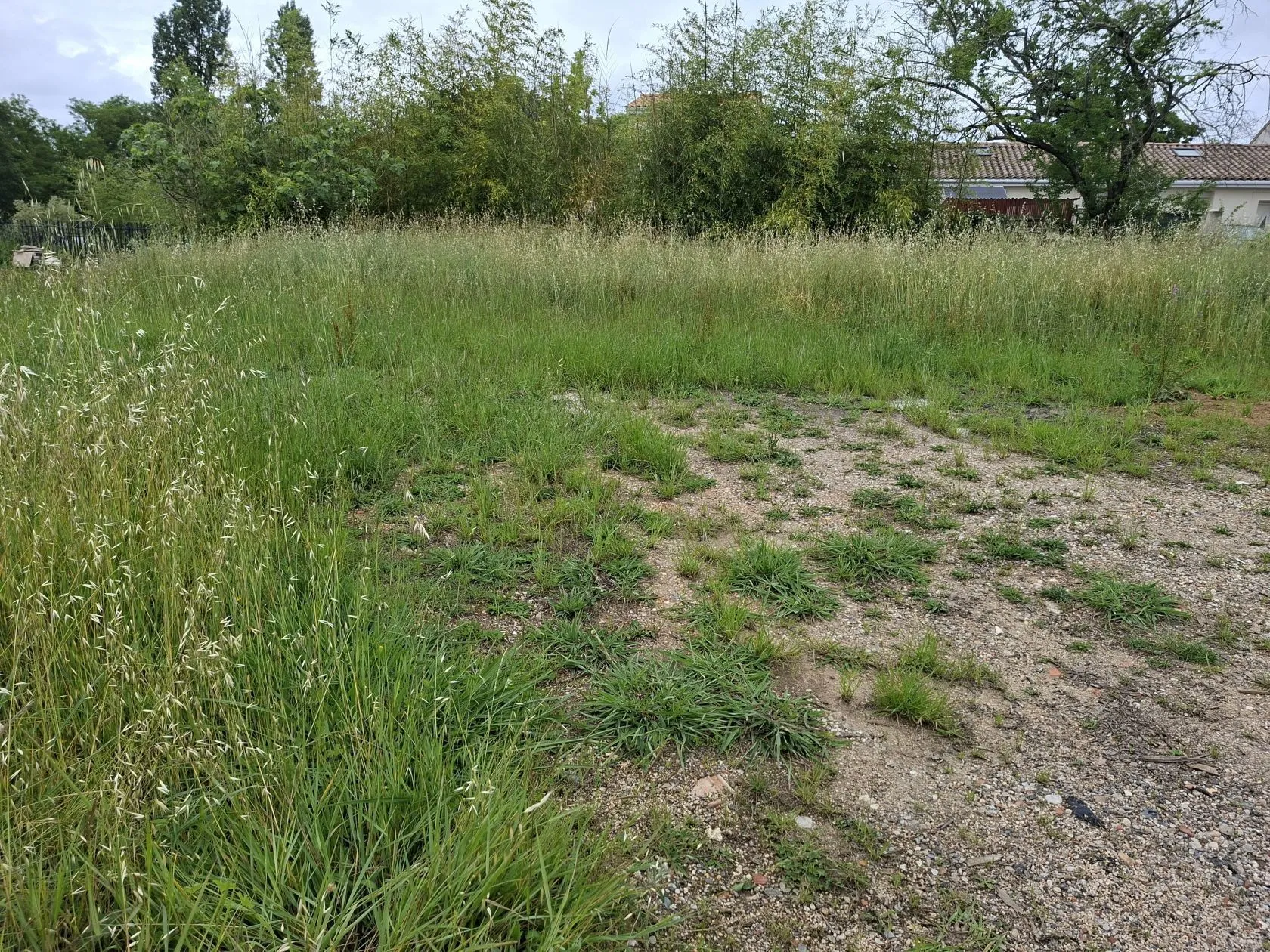 Maison neuve 130 m² à Saint-Savin (33920)