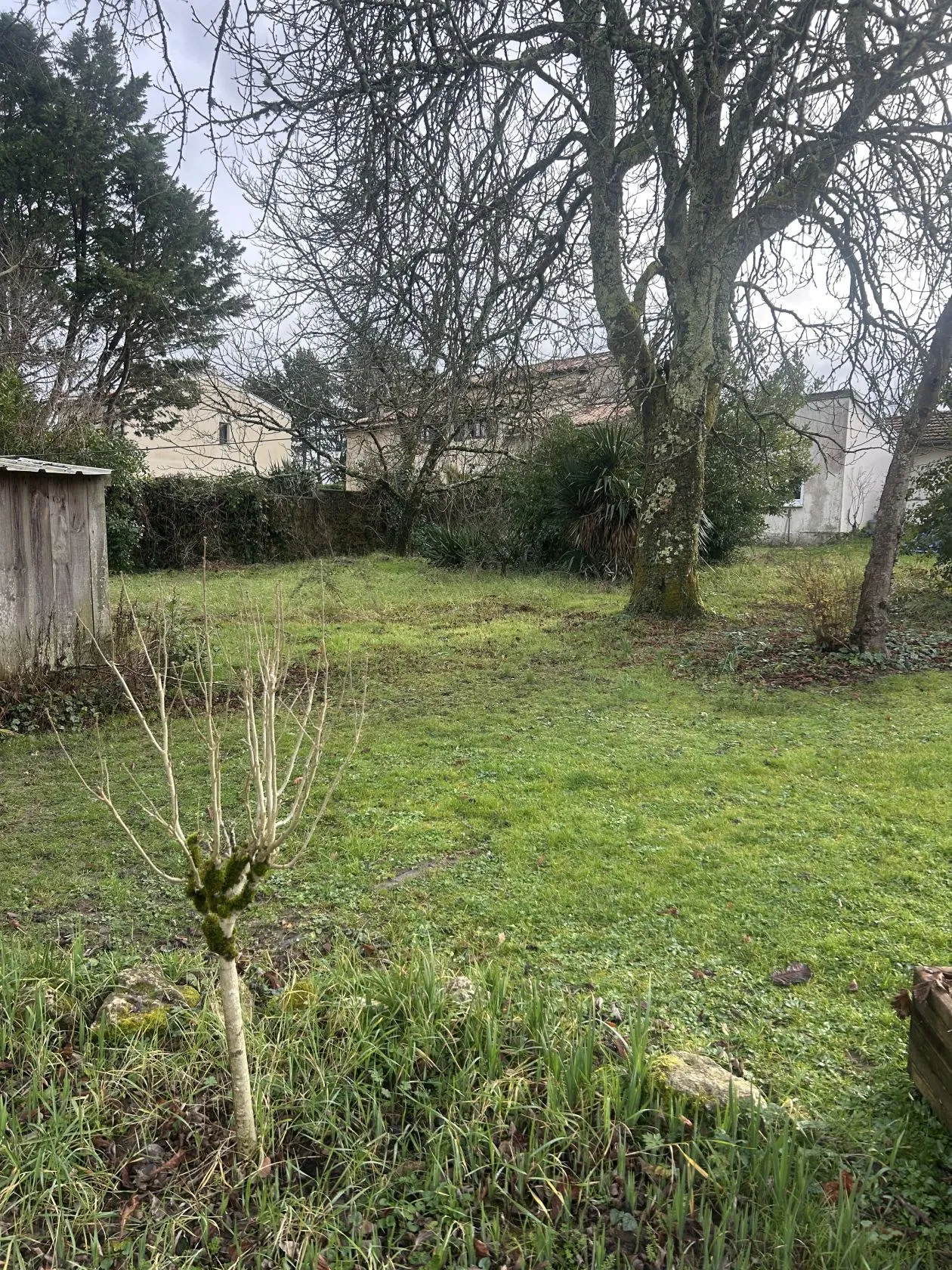 Maison neuve 100 m² à Cénac (33360)