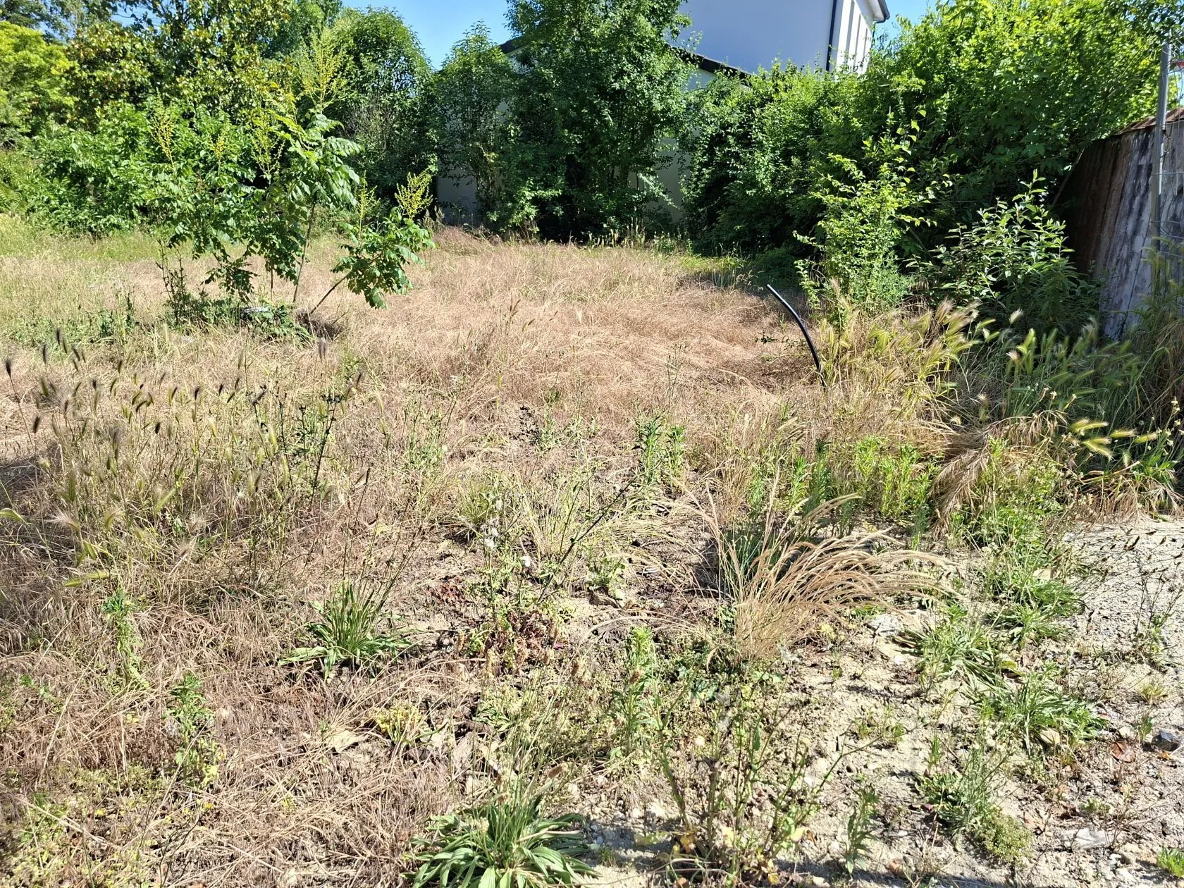 Maison neuve 90 m² à Carbon-Blanc (33560)
