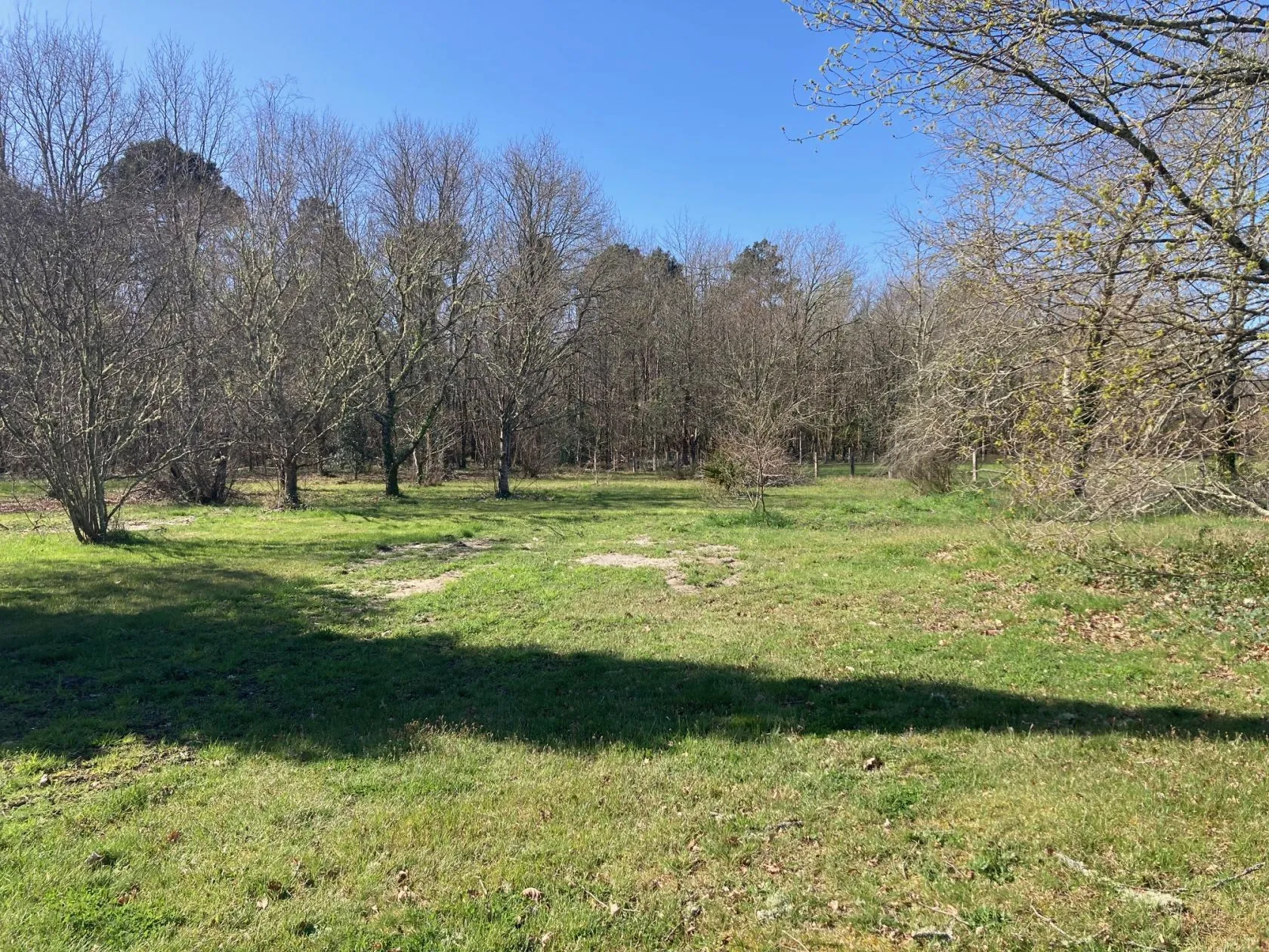 Maison neuve 108 m² à Lanton (33138)