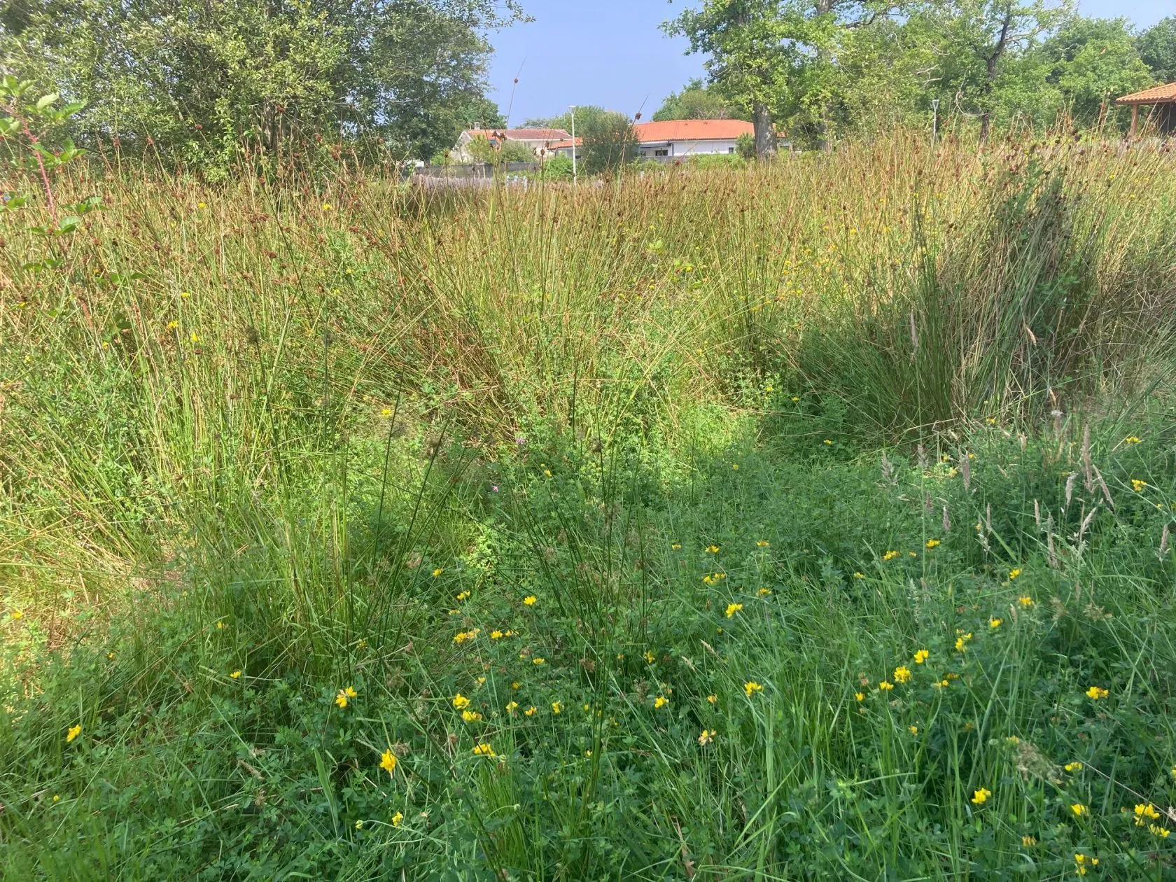 Maison neuve 90 m² à Biscarrosse (40600)