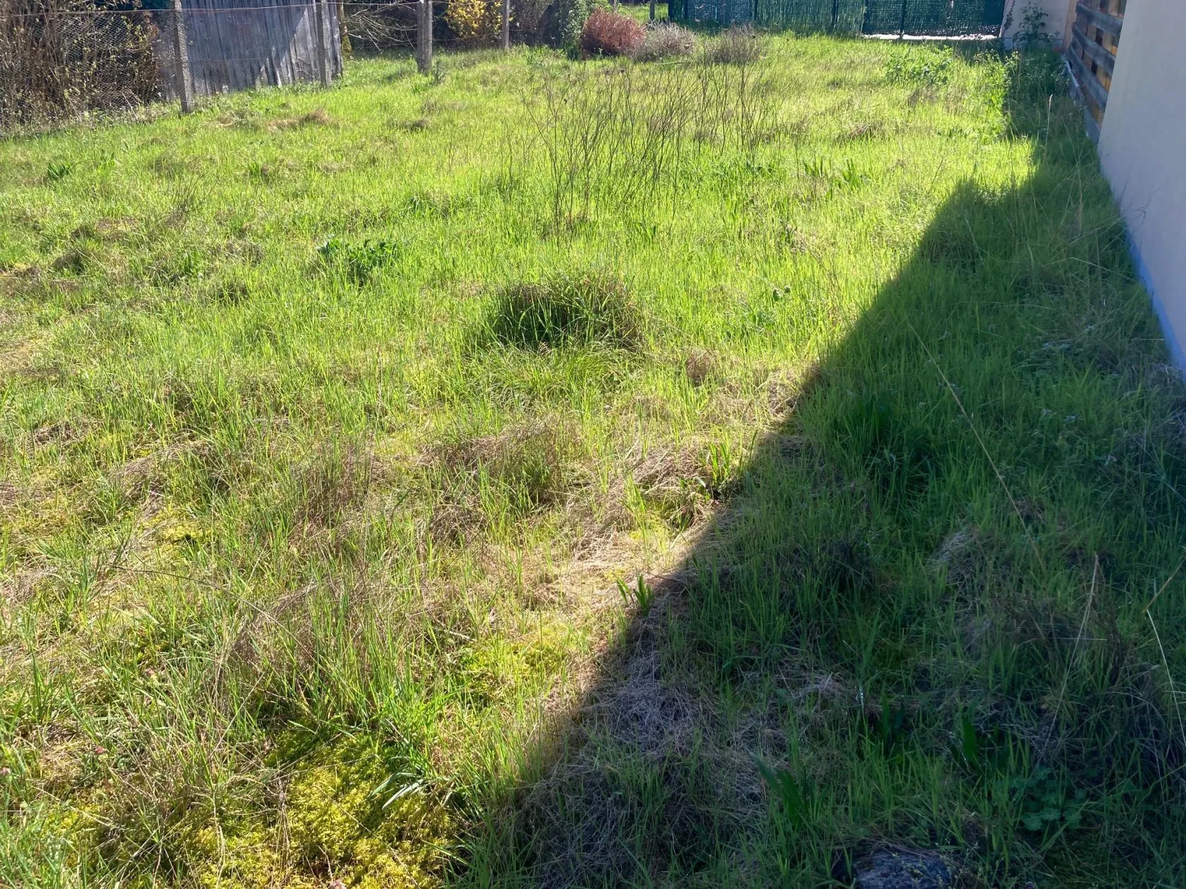 Maison neuve 60 m² à Biscarrosse (40600)