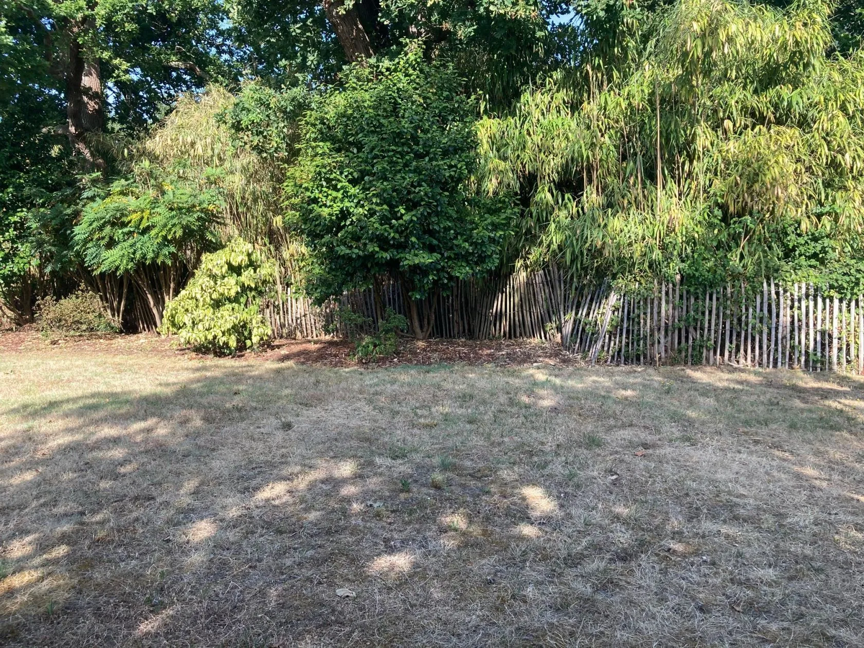 Maison neuve 70 m² à Moustey (40410)