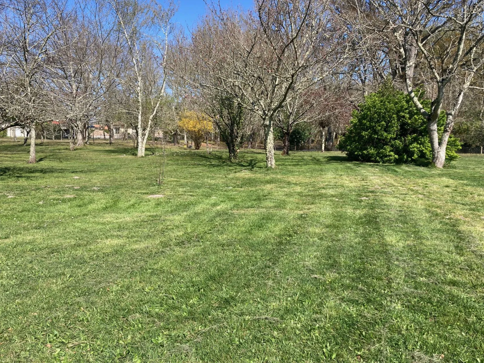 Maison neuve 130 m² à Belin-Béliet (33830)