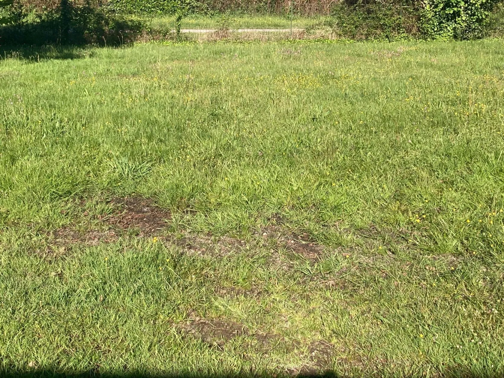 Maison neuve 80 m² à Parentis-en-Born (40160)