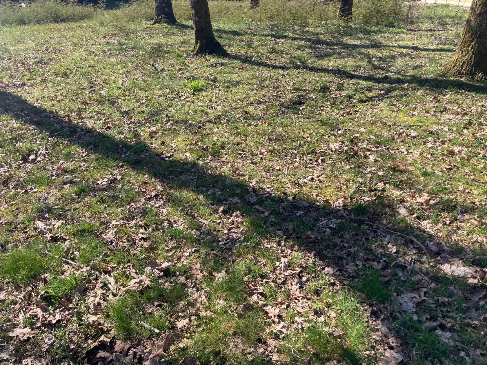 Maison neuve 130 m² à Salles (33770)
