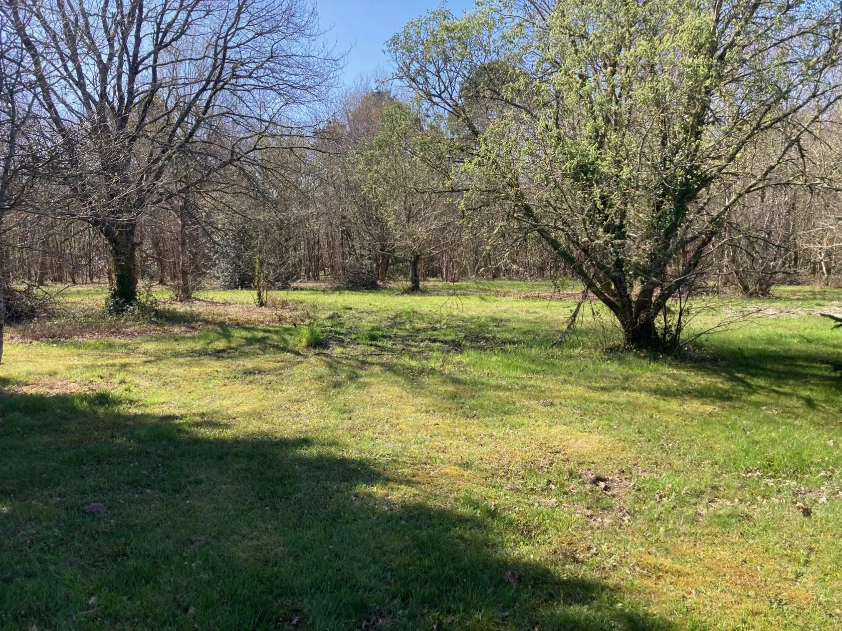 Maison neuve 100 m² à Belin-Béliet (33830)