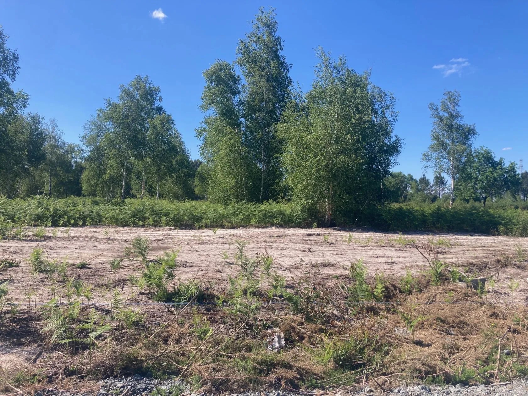 Maison neuve 80 m² à Parentis-en-Born (40160)