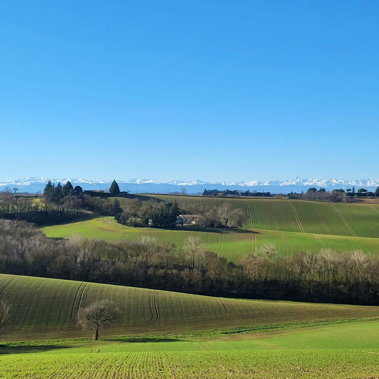 Maison neuve 116 m² à Saint-Léon (31560)