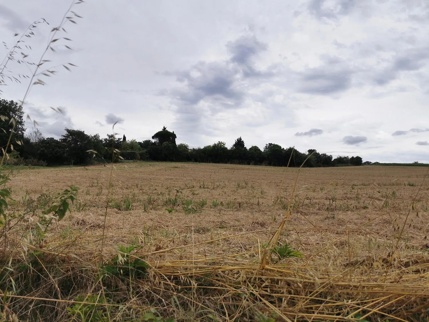 Maison neuve 90 m² à Vacquiers (31340)