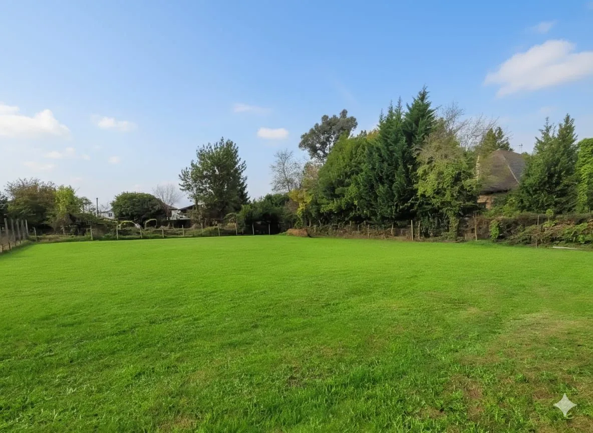 Maison neuve 90 m² à Haux (33550)