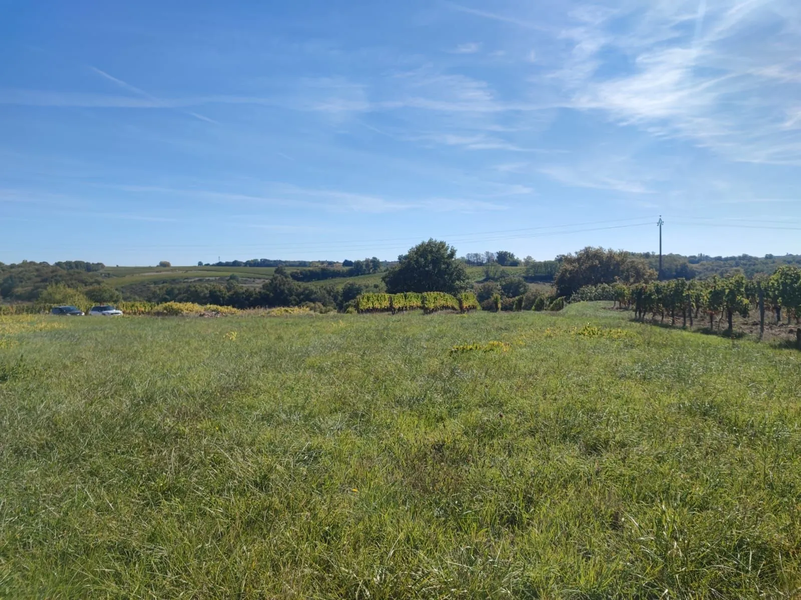 Maison neuve 140 m² à Capian (33550)