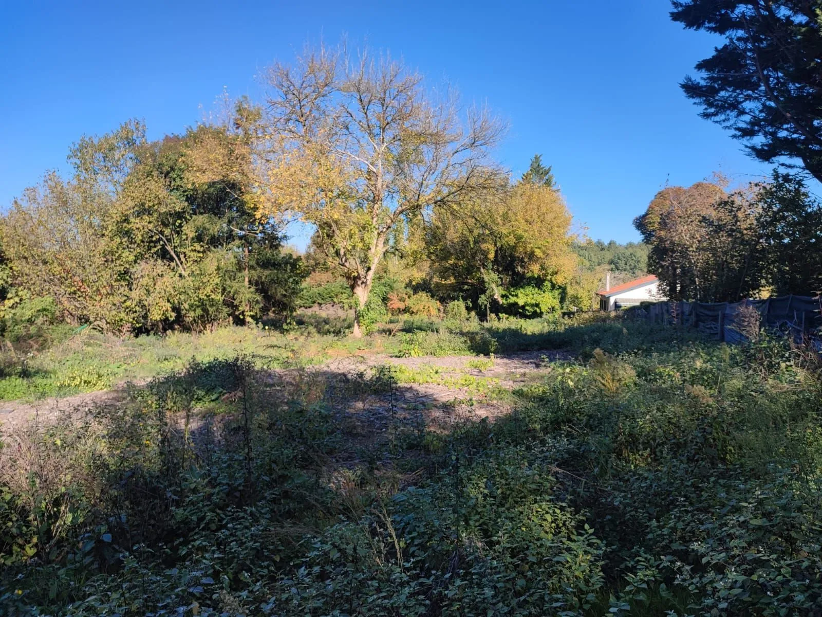 Maison neuve 80 m² à Camarsac (33750)
