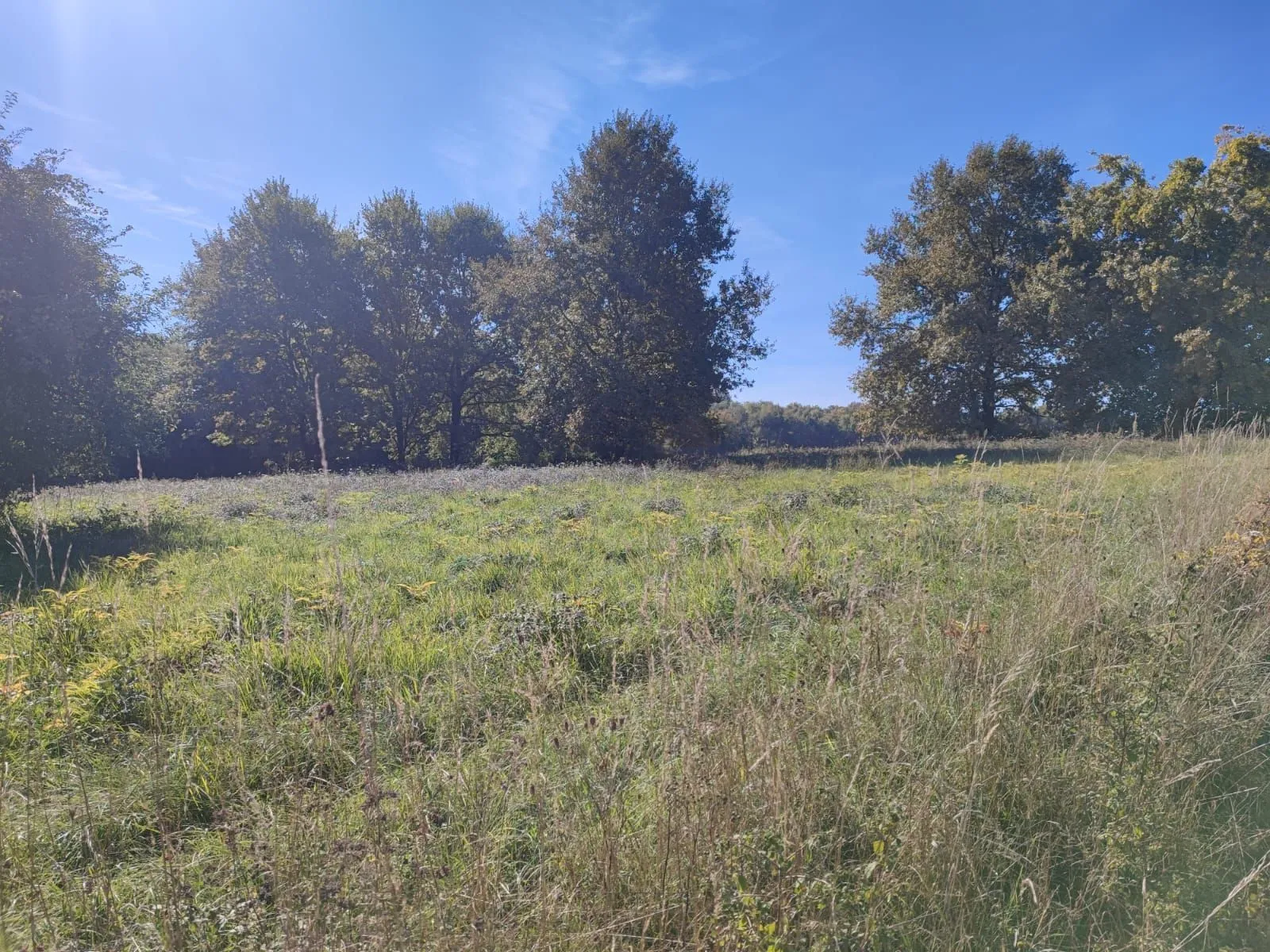 Maison neuve 105 m² à Tabanac (33550)