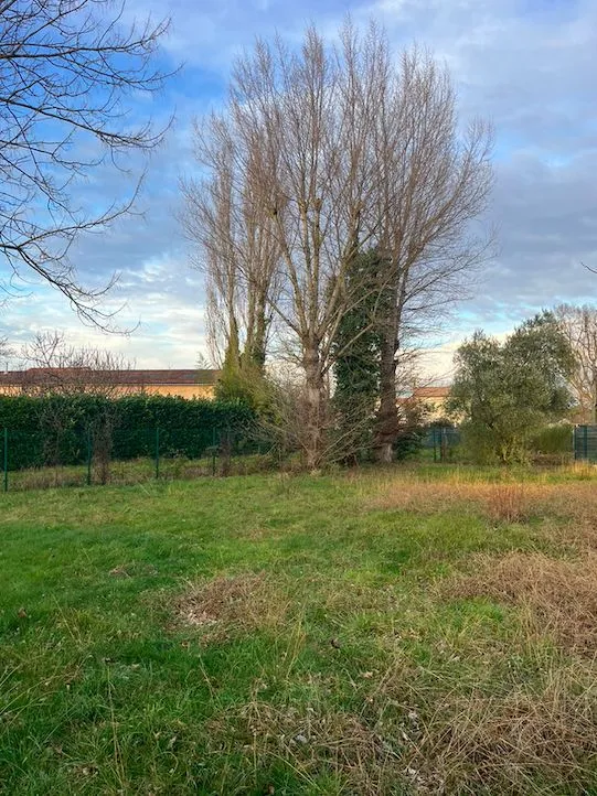 Maison neuve 80 m² à Fonsorbes (31470)