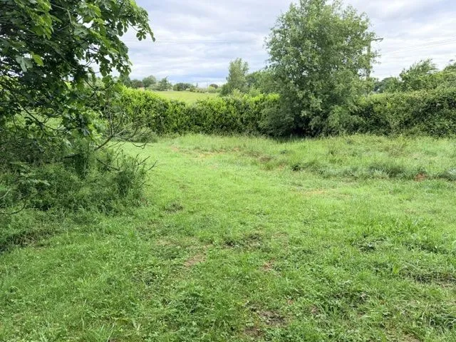 Maison neuve 77 m² à Castelmaurou (31180)
