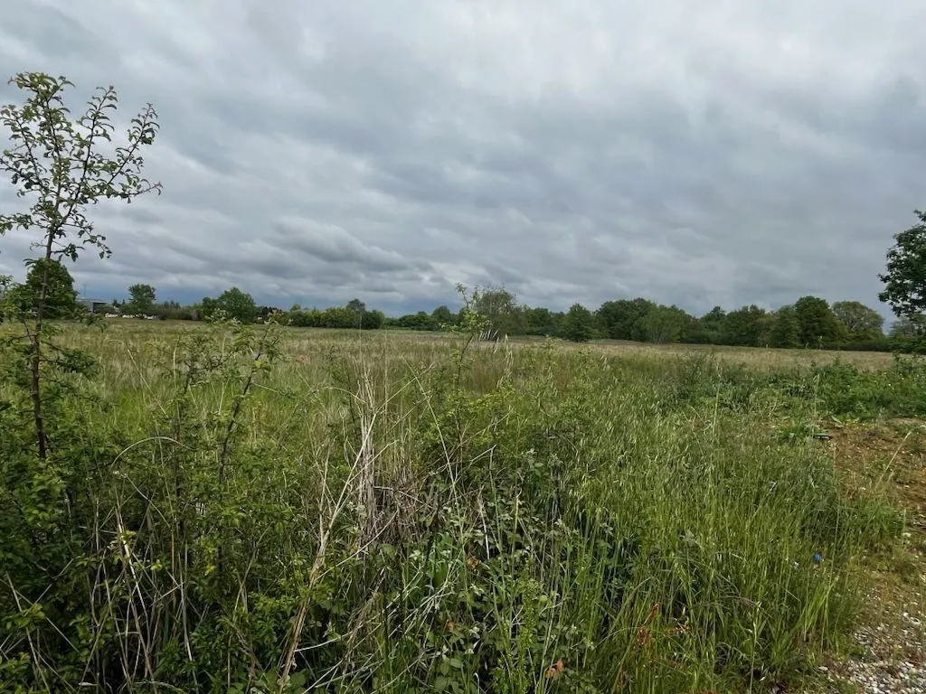 Maison neuve 90 m² à Venerque (31810)