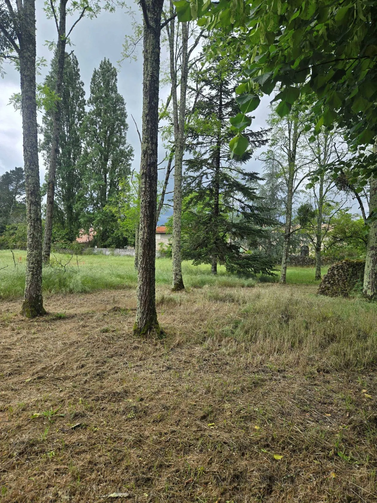 Maison neuve 90 m² à Landiras (33720)