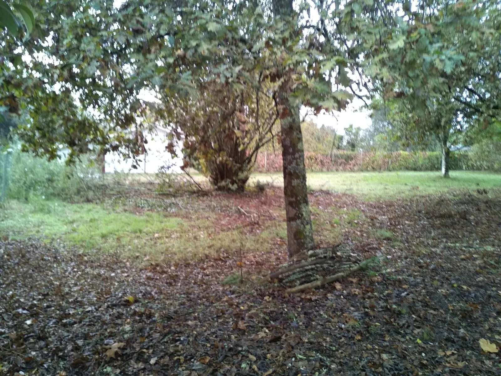 Maison neuve 90 m² au Taillan-Médoc (33320)